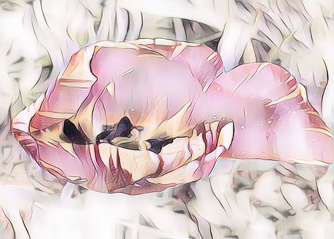 Flower Pastel