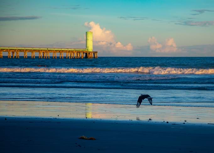 Ocean shore