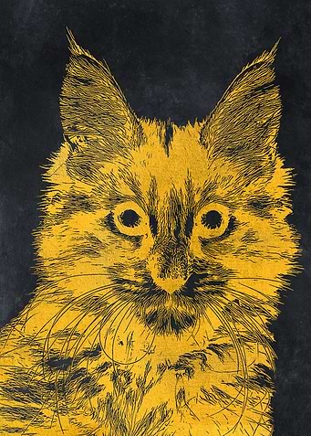 Gold cat