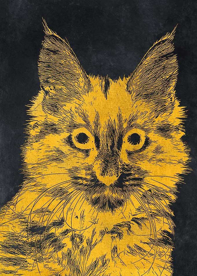 Gold cat