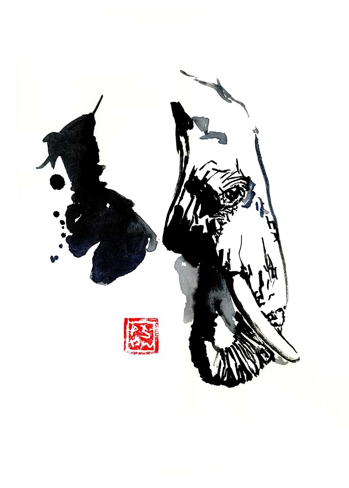 elephant profile