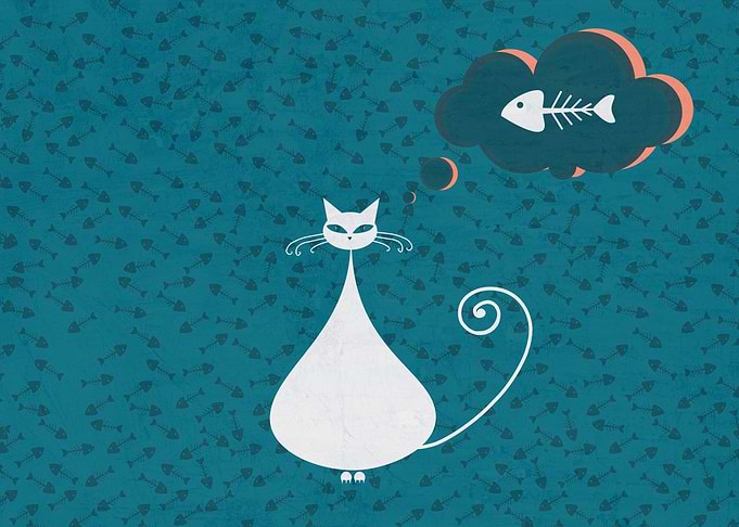 Cat and fish