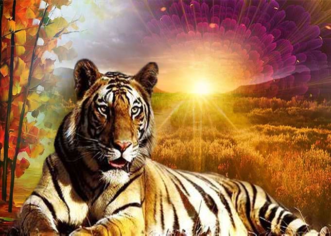 Amazing Tiger