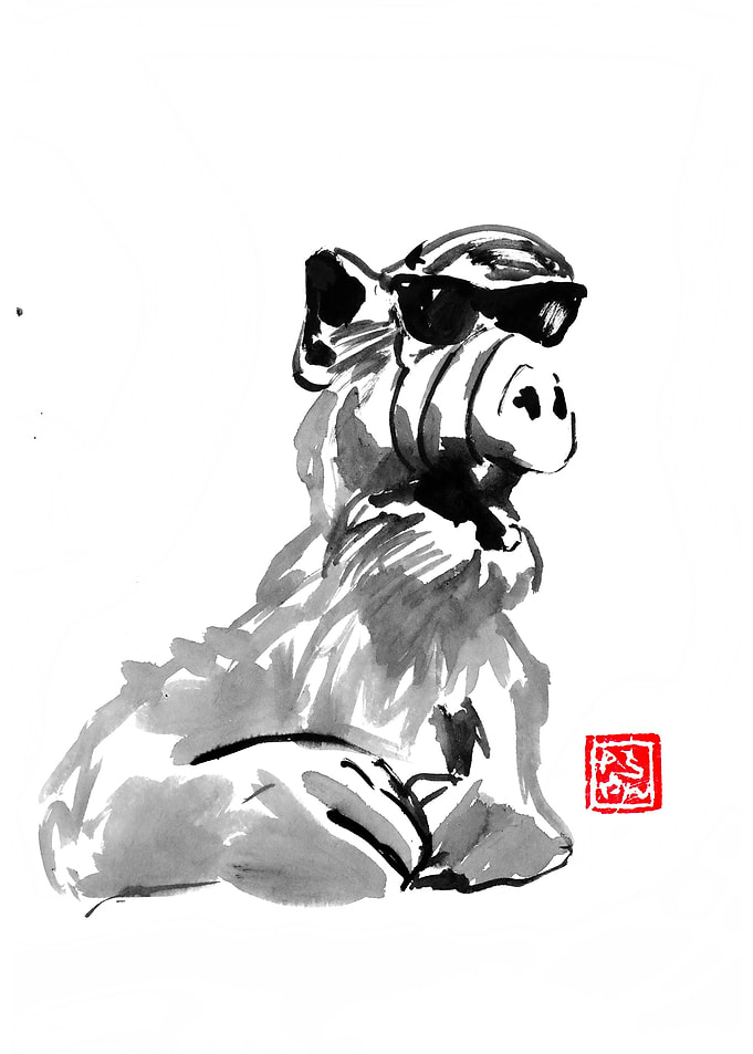 alf sunglasses