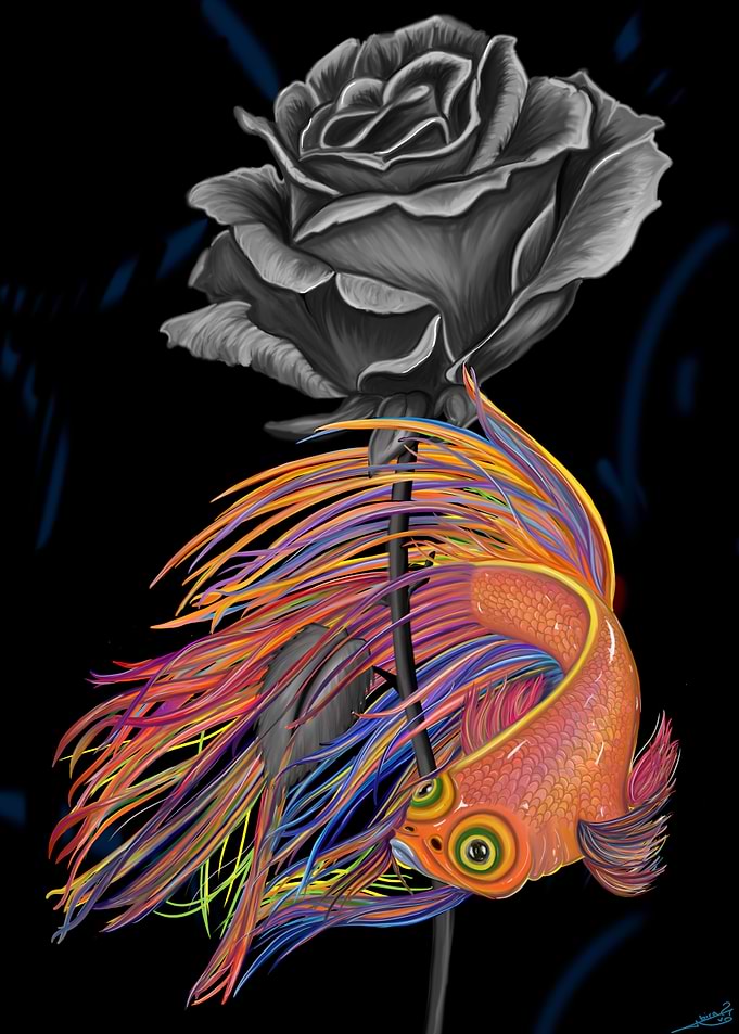 Fish and Roses