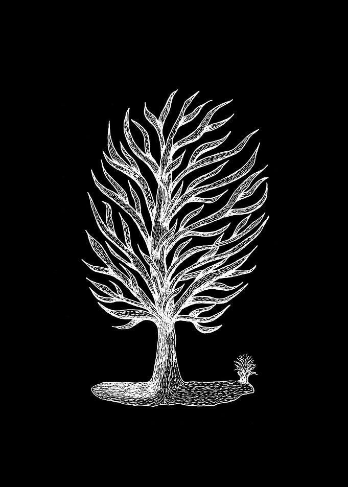 Windswept Tree