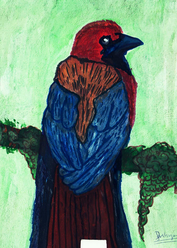 The Bird