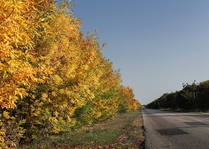Autumn landscape