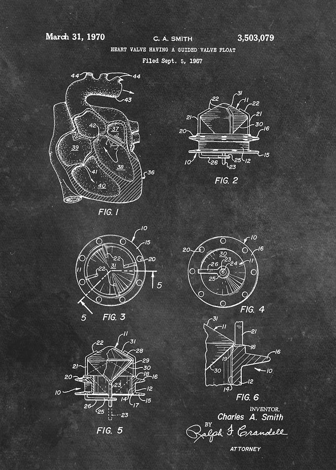 patent Smith Heart valve h
