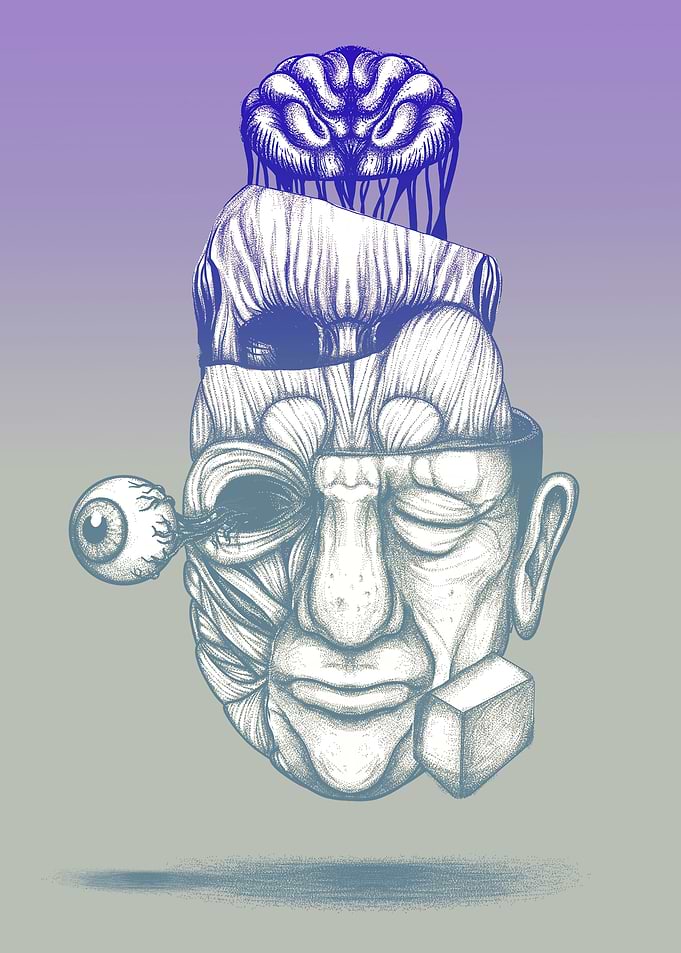 Anatomy