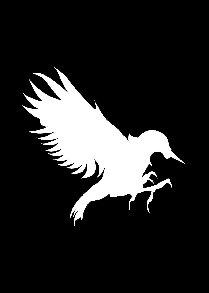 The Crow