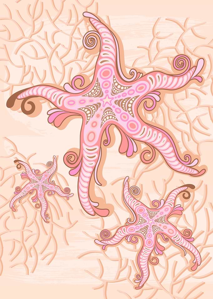 Starfish and Pink Coral
