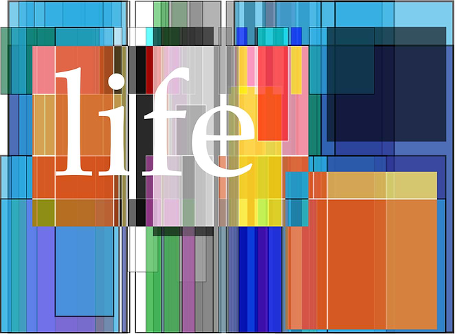 Life is Orange