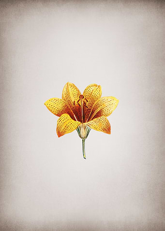 Vintage Small Flower