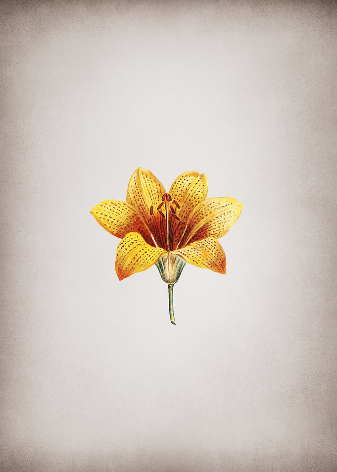 Vintage Small Flower