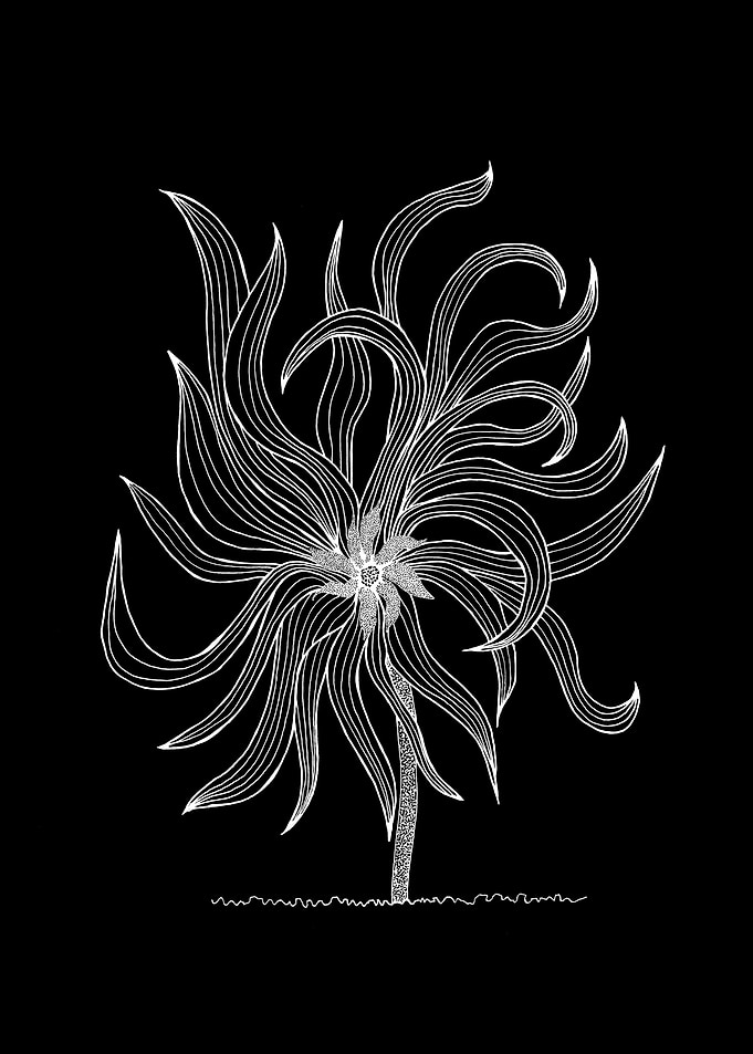 Long Petalled Flower