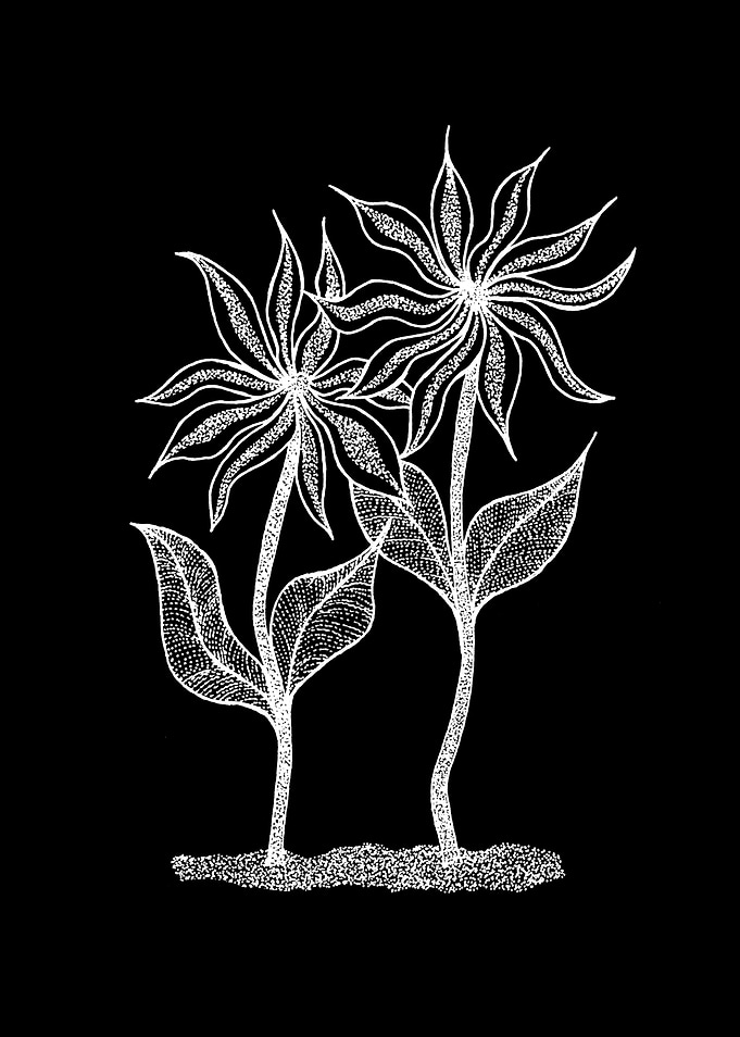 Flower Siblings