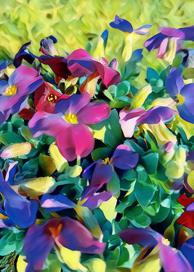 spring flowers