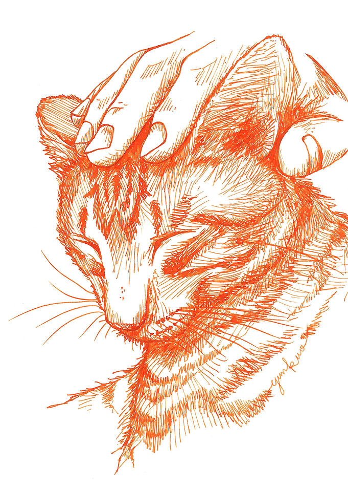A lovely moment with cat
