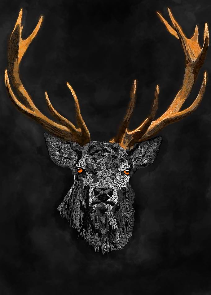 Deer