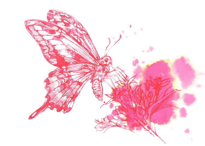 Luscious nectar harmony
