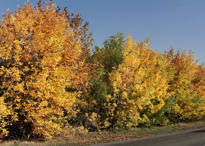 Autumn landscape