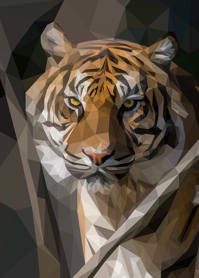 Tiger Low Poly