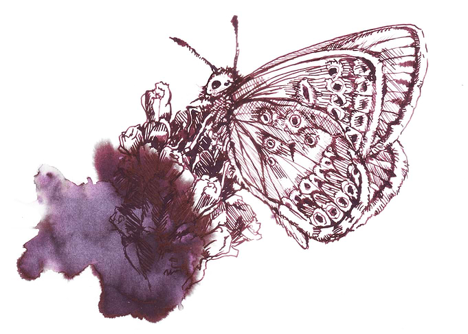 Luscious nectar harmony