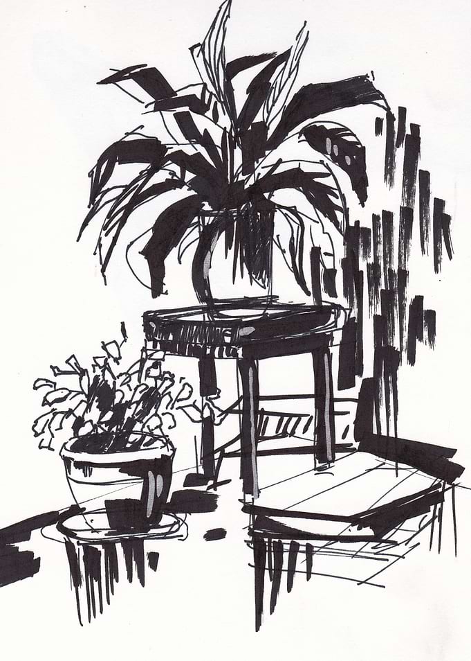 Home plants