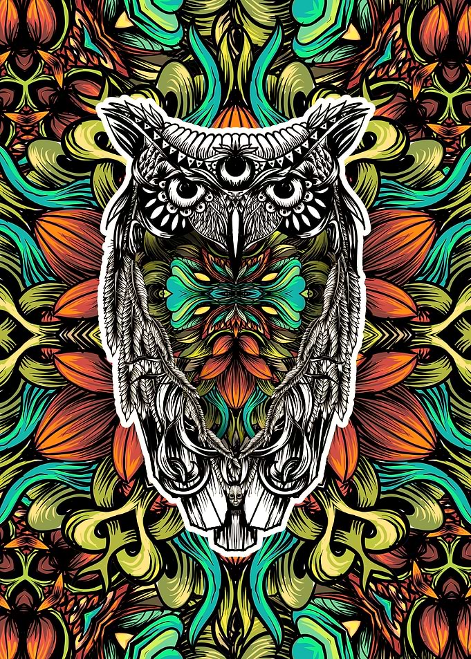 Owl