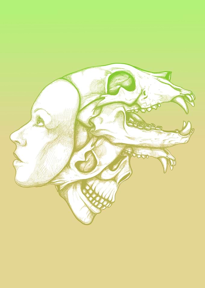 Skull Hat