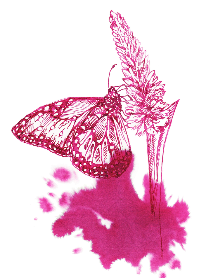 Luscious nectar harmony