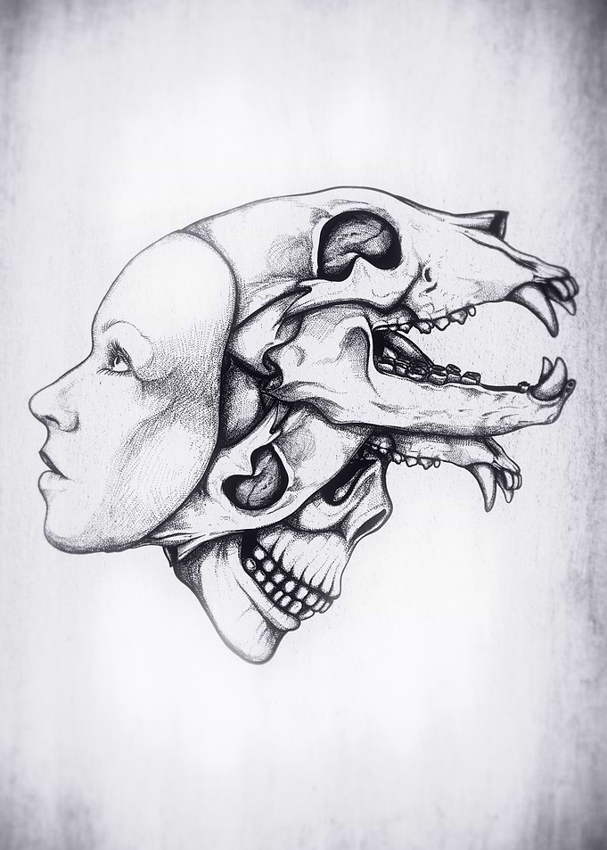 Skull Hat
