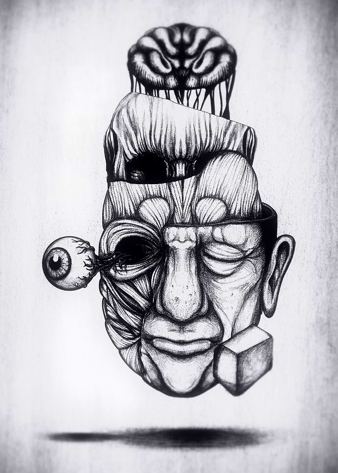 Anatomy