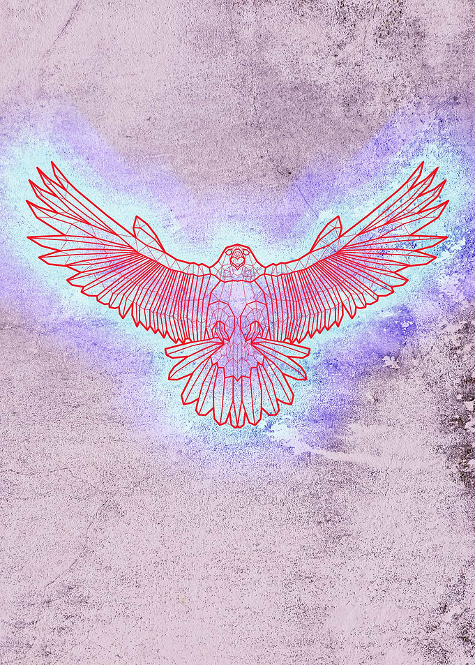 Geometric Falcon