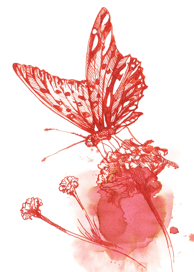 Luscious nectar harmony