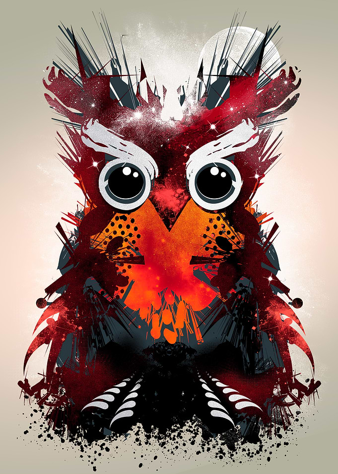 Owl Universe