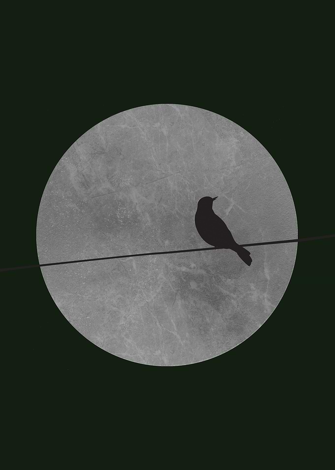 Lone Bird