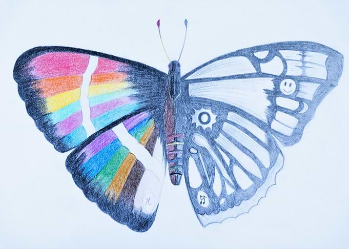 2 side Butterfly