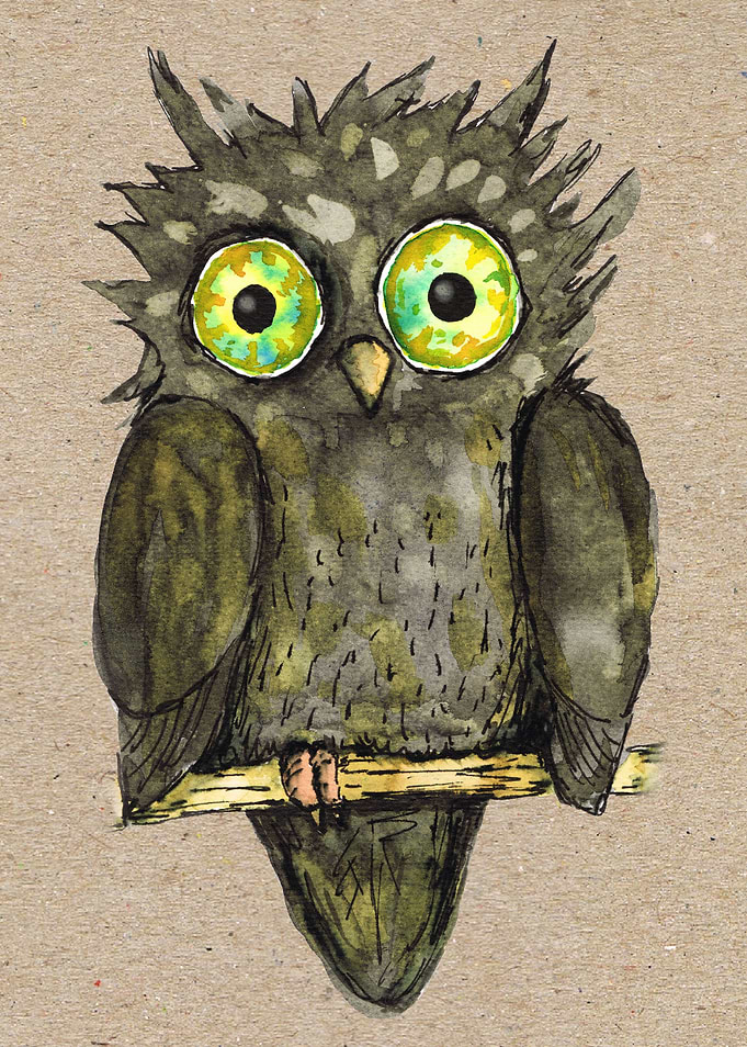 Cute black owl