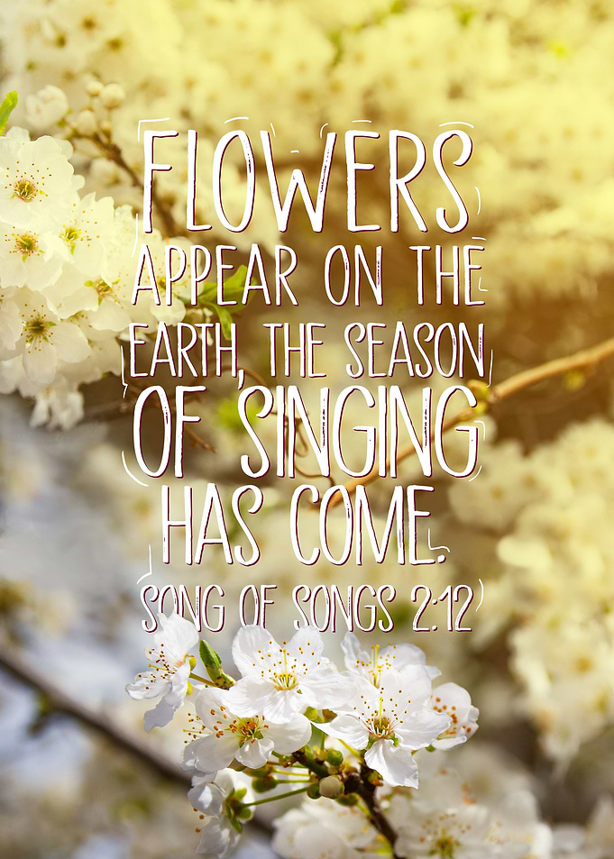 THE SEASON OF SINGING