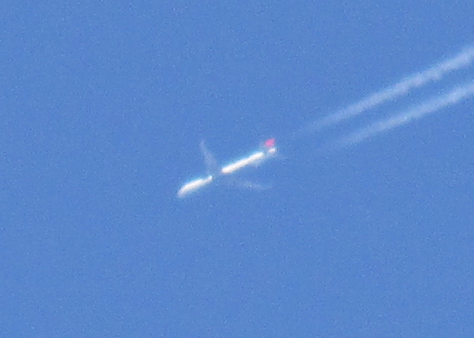 Fly away