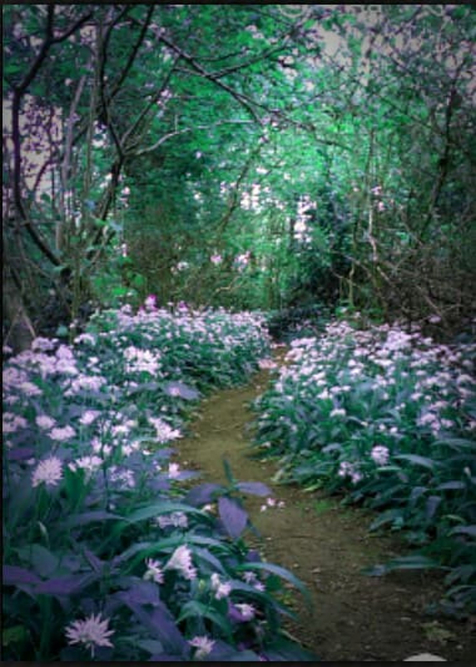An Unknown Path