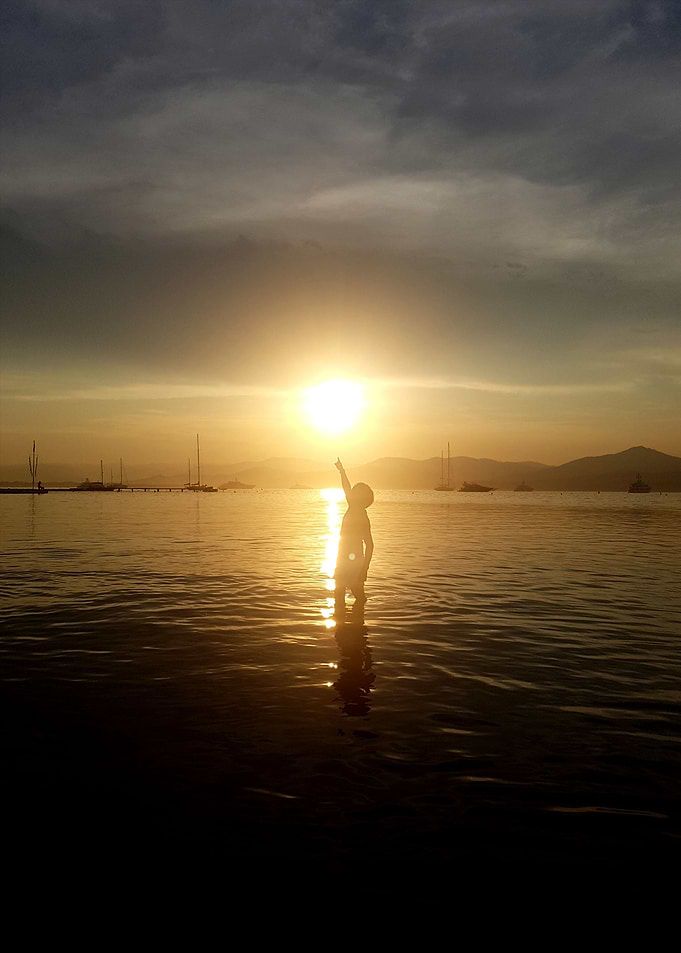 Reach for the Sun