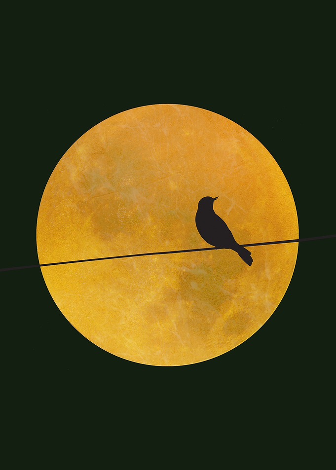 The Lone Bird