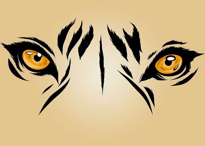 Wild Life Tiger Eyes