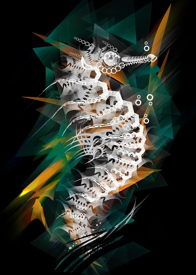 Sea Shapes