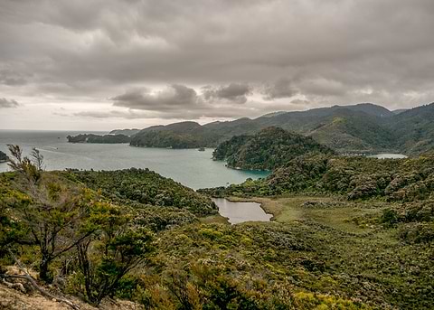 Landscape 2
