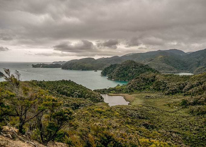 Landscape 2