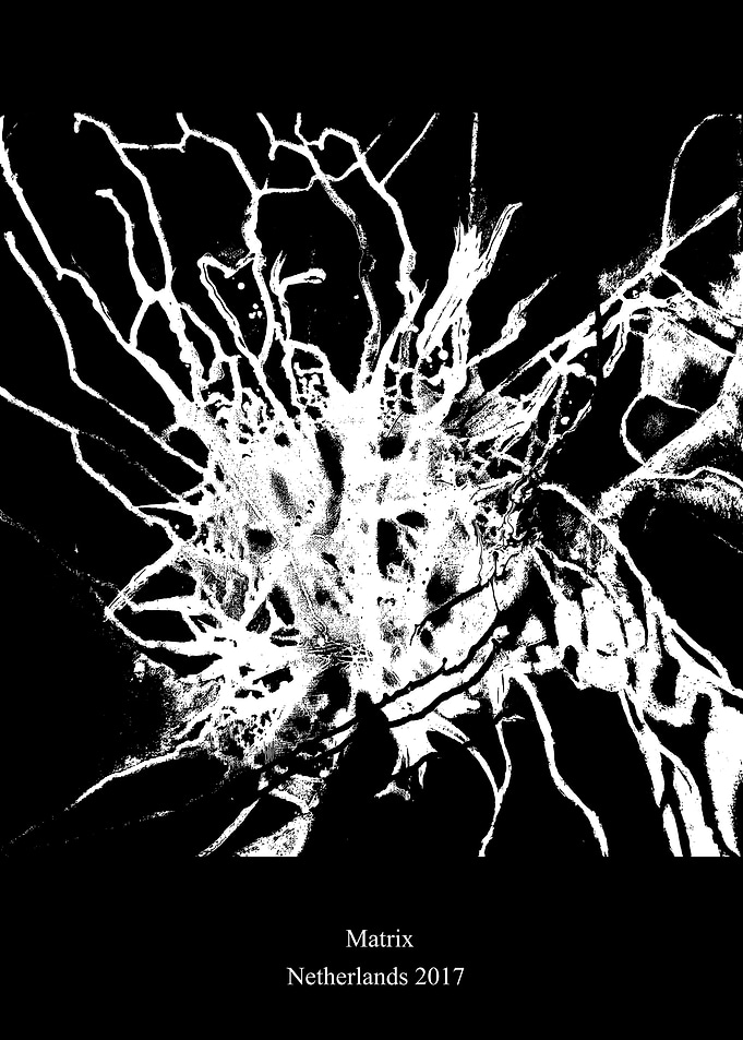 Matrix